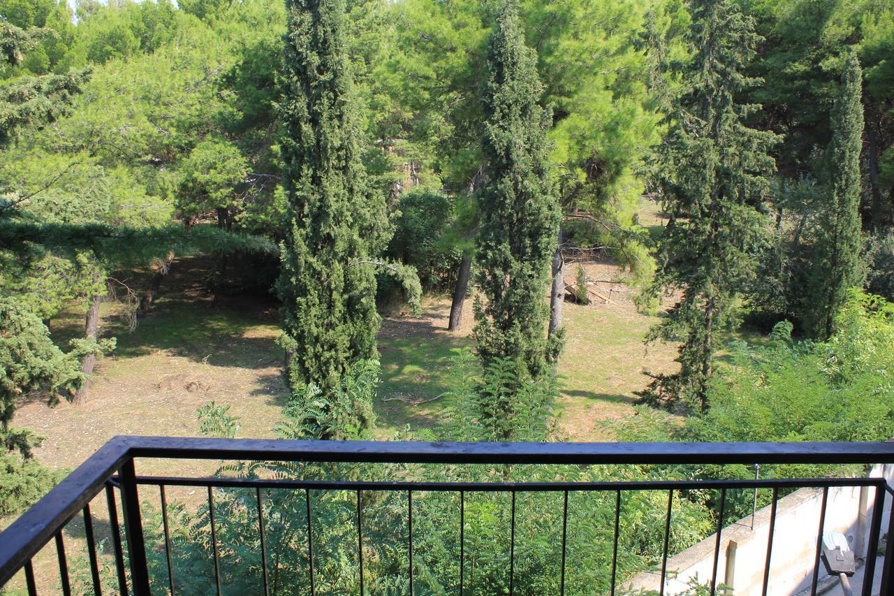 B&B Il Giardino In Città - Parcheggio Privato Gratuito Foggia Extérieur photo